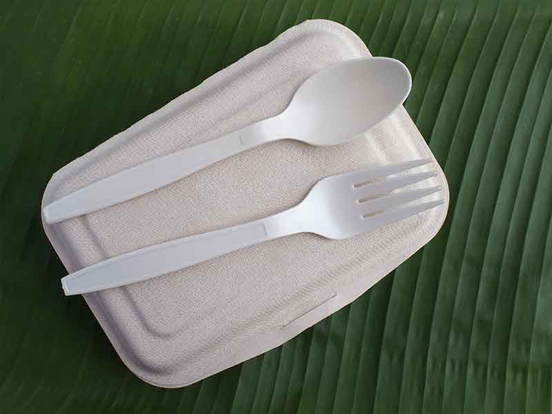 Bioplastic as base material for lunch boxes / Compounding systems